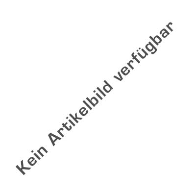 Die 50 größten Autohandelsketten in Deutschland nach verkauften Neuwagen 2004